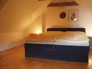 U Zlate Podkovy Apartments Prag