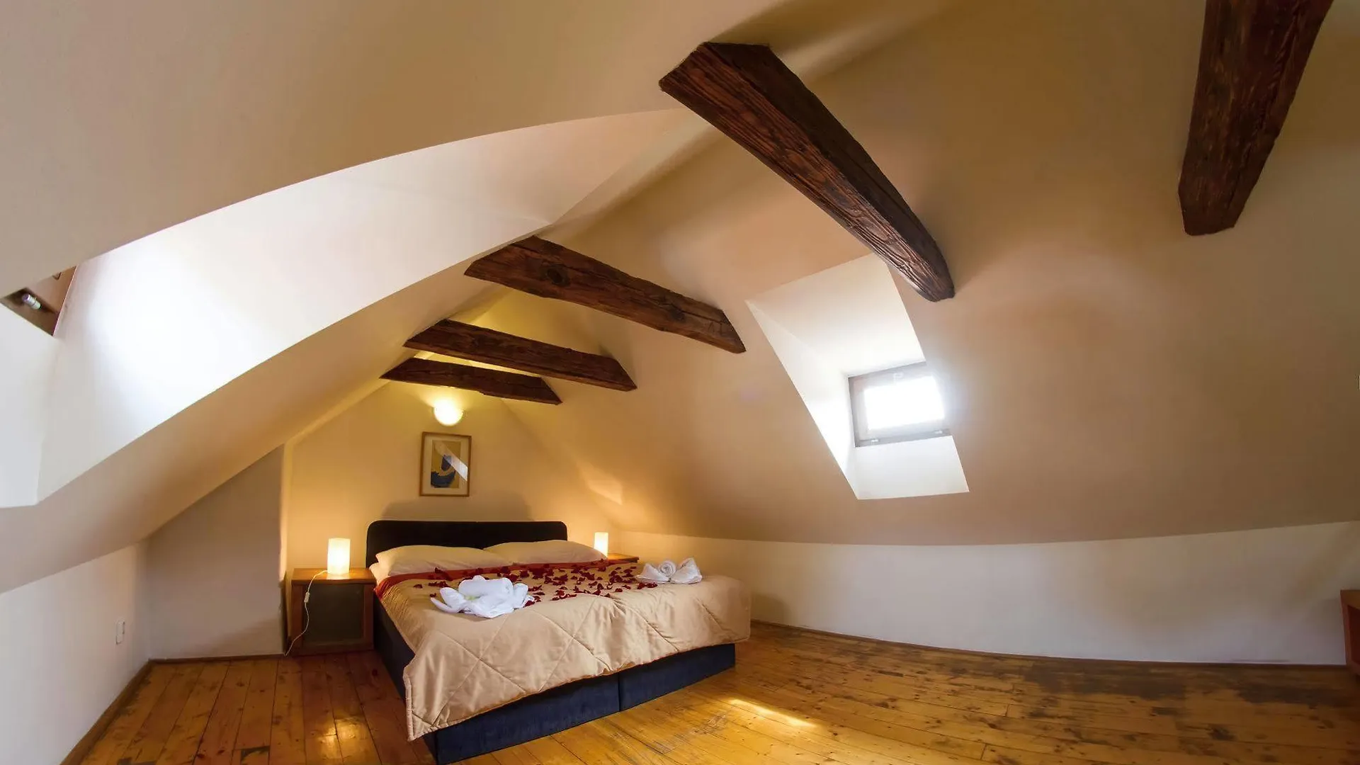 U Zlate Podkovy Apartments Prag 0*,
