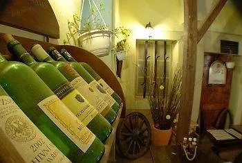 U Zlate Podkovy Apartments Praga